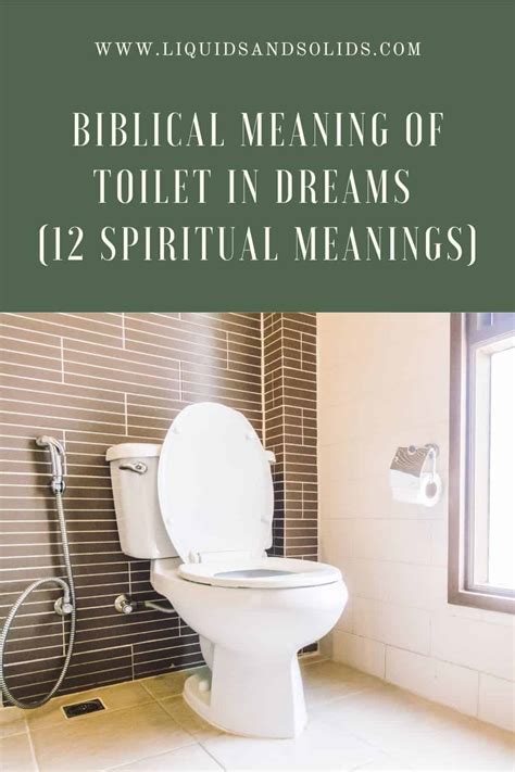 Spiritual and Symbolic Meanings of Toilet Dreams