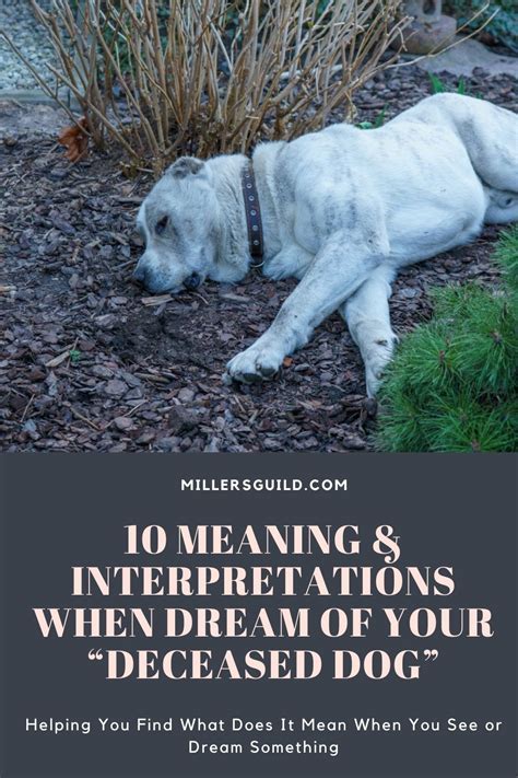 Spirituality and Beyond: Exploring the Spiritual Elements of Dreaming about Departed Canine Companions