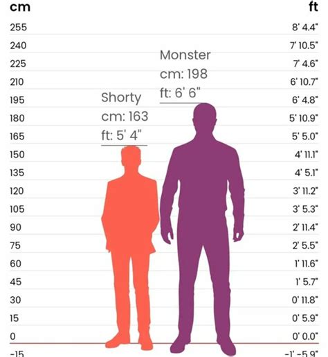 Standing Tall: Chilly's Height