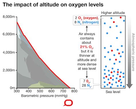 Statistics on Elevation and Body Form