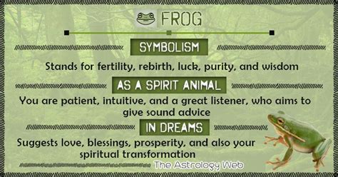 Steps for Analyzing and Reflecting on Dreams with Frog Symbolism