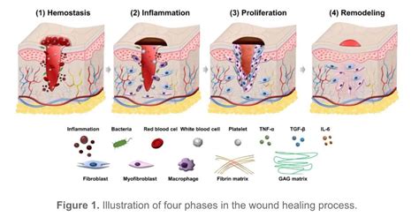 Steps to Process and Heal from a Vision Depicting Harm to Your Child