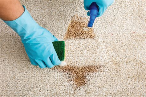 Steps to Remove Carpet and Give Your Home a Fresh Look