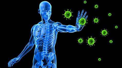 Strengthening the Immune System: Battling Infections and Diseases