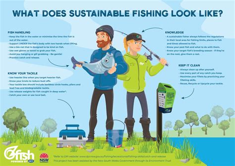 Sustainability in Fishing: Safeguarding and Appreciating the Marvels of Our Ecosystems