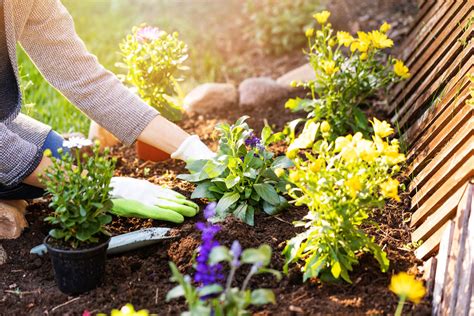 Sustainable Gardening: Eco-conscious Methods for a Greener Future