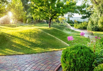 Sustainable Practices for an Eco-Friendly Landscape