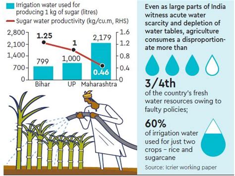 Sweetening the Deal: The Economic Impact of Sugarcane Production