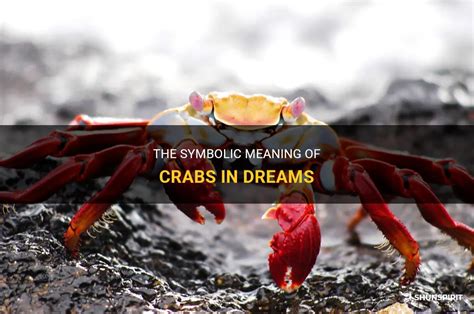 Symbolic Meaning of Crabs in Dreams