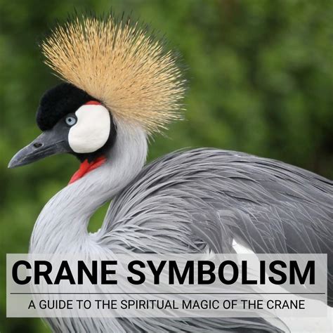 Symbolic Meanings Attached to Cranes in Different Cultures