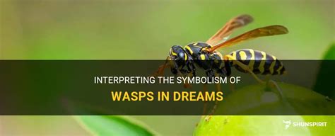 Symbolic Meanings of Wasps in Dreams