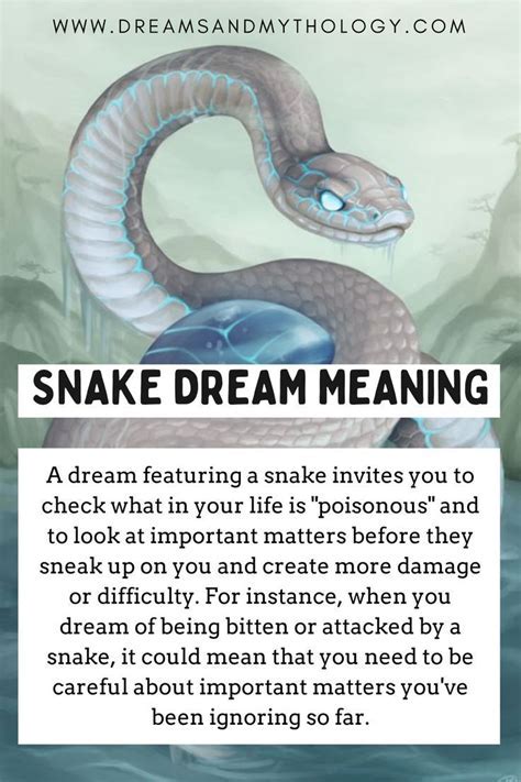 Symbolic Representation of Serpents in Dreams