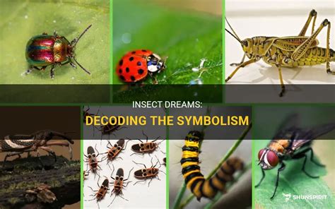 Symbolic Significance of Insects in Dream Analysis