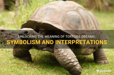 Symbolic Significance of a Tortoise in Dreams