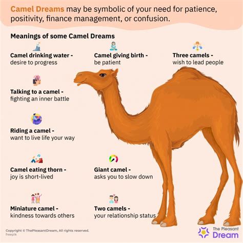 Symbolism and Interpretations of Camels in Dreams