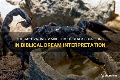 Symbolism and Interpretations of Dark-Colored Scorpions