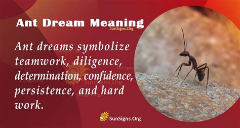 Symbolism of Ants Crawling On Someone in Dream Interpretation