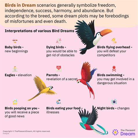 Symbolism of Birds in Dreams