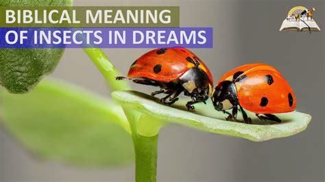 Symbolism of Bugs in Dreams