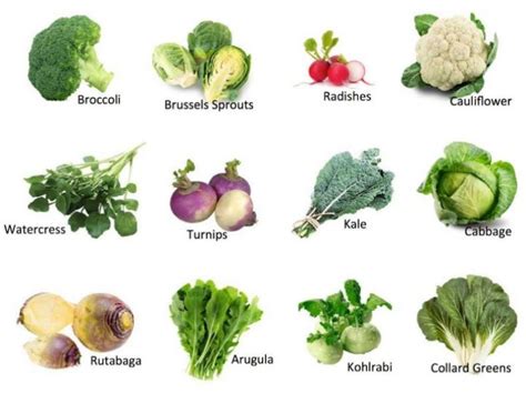 Symbolism of Cruciferous Vegetables in Nocturnal Visions