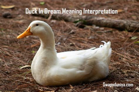 Symbolism of Waterfowl in Dreamland