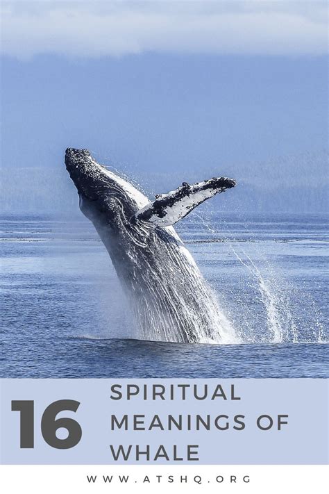 Symbolism of Whales in Different Cultures