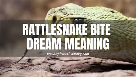 Symbolism of a Rattlesnake Bite in Dreams
