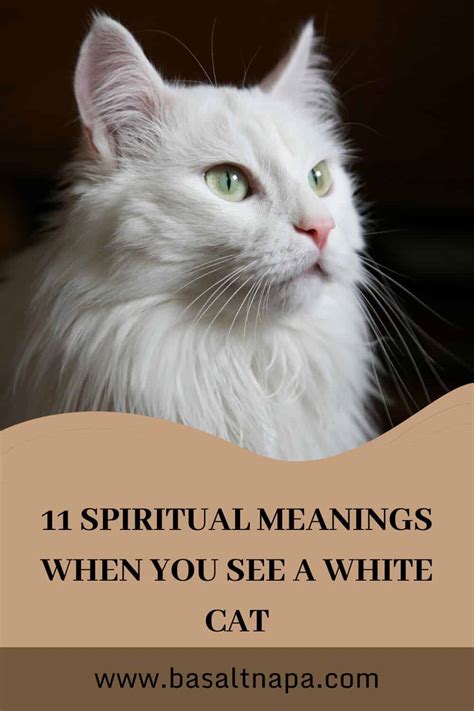 Symbolism of a White Cat