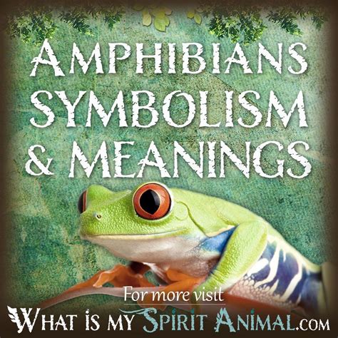 Symbolism of an Enormous Amphibian in Visions