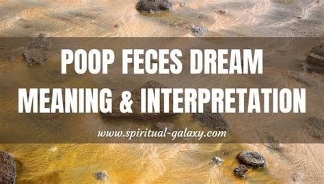 Techniques to Analyze and Decipher Excrement Dreams