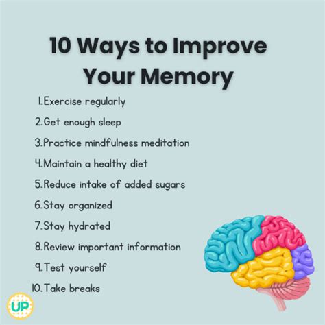 Techniques to Enhance Memory and Combat Forgetfulness