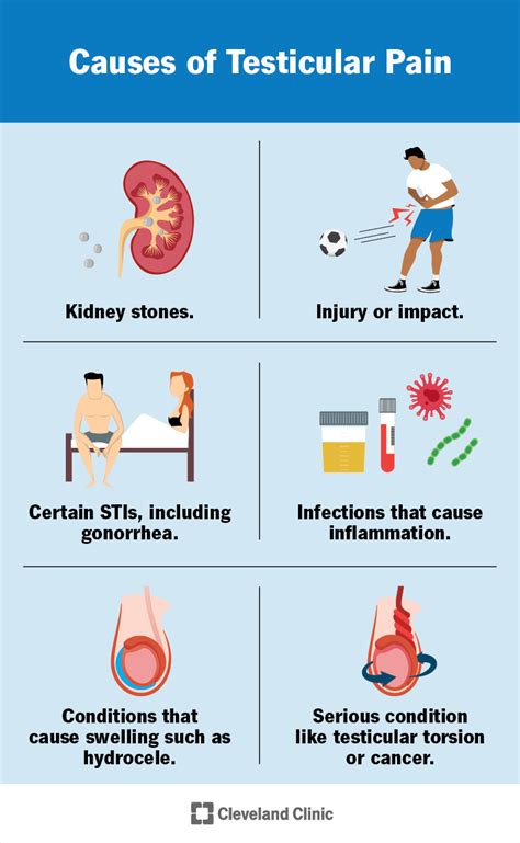 Testicle Enlargement: Causes, Concerns, and Treatment Options