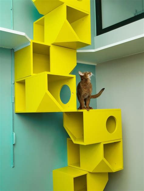 The Advantages of a Feline Climbing Structure for Your Beloved Kitty