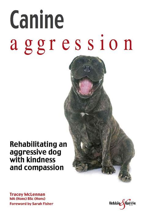 The Aggressive Canine: Examining the Dream's Central Figure