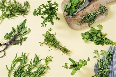 The Art of Pairing Fresh Herbs with Different Types of Foods