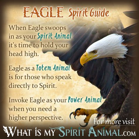The Bald Eagle as a Potent Spirit Animal in Indigenous Native American Lore