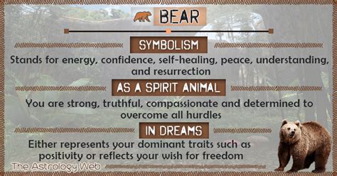 The Bear's Significance in Indigenous Native American Folklore