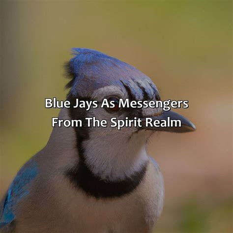 The Blue Jay as a Messenger from the Spirit Realm