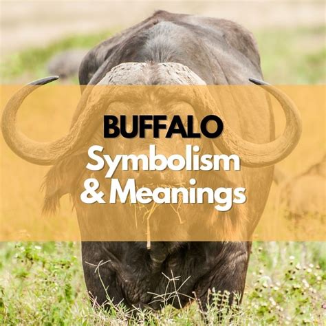 The Buffalo as a Symbol: Ancient Meanings and Cultural Associations