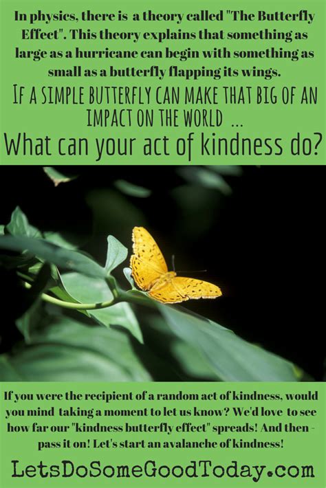 The Butterfly Effect: How One Act of Kindness Can Create a Tremendous Impact