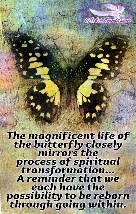 The Butterfly Metaphor: Exploring the Symbolism and Significance