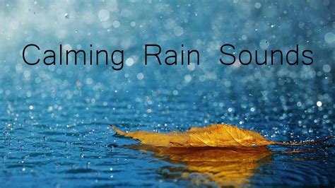 The Calming Power of Rainfall: Exploring the Soothing Effects of Rain Sounds