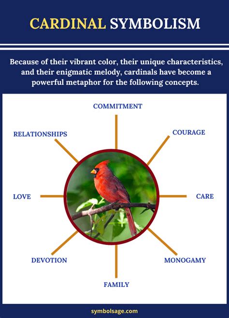 The Cardinal Bird: Dreams and their Significance