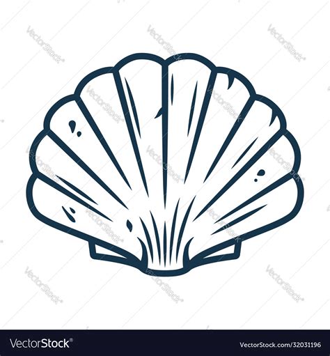 The Clam Shell as a Symbol of Transformation