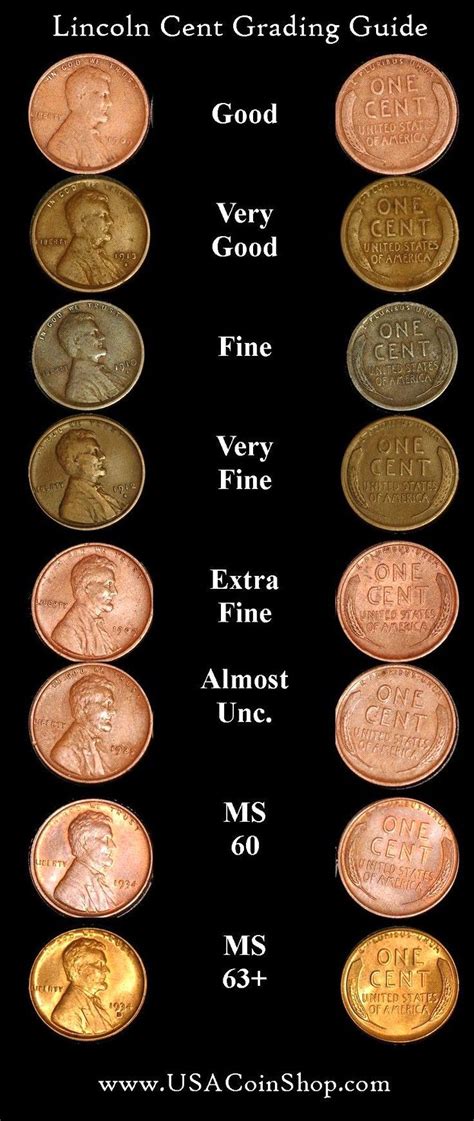 The Complete Guide to Copper Penny