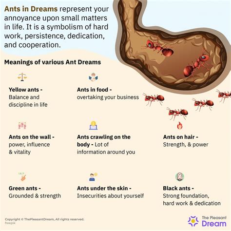 The Connection Between Ants and Order in Dream Analysis