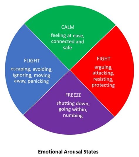 The Connection Between Aquatic Environments and Emotional States in the Interpretation of Dreams