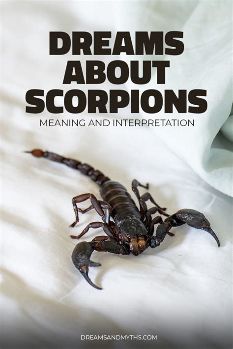 The Connection Between Scorpion-Infested Dreams and Concealed Anxieties