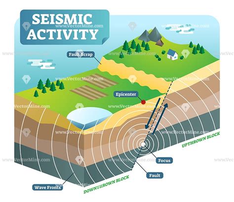 The Connection Between Seismic Activity and Maternity