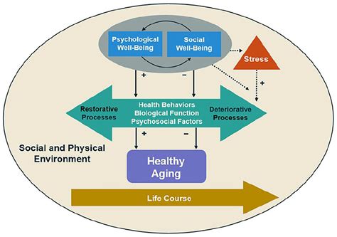 The Connection between Emotional Well-being and Formation of Cavities